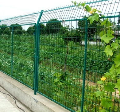 Frame type fence netting