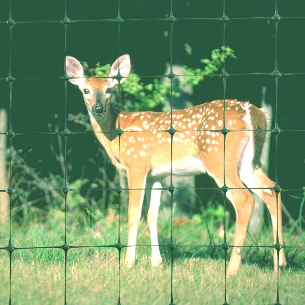 Kunststoff Deer Fence Netting Plastic Deer Fence Netting