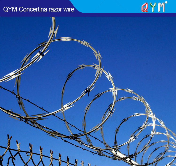 concertina razor wire 1-1