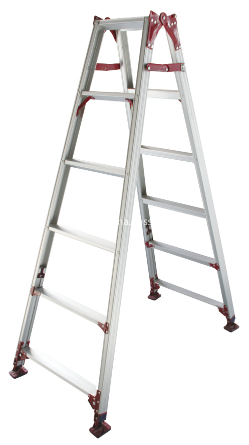 A Type Ladder