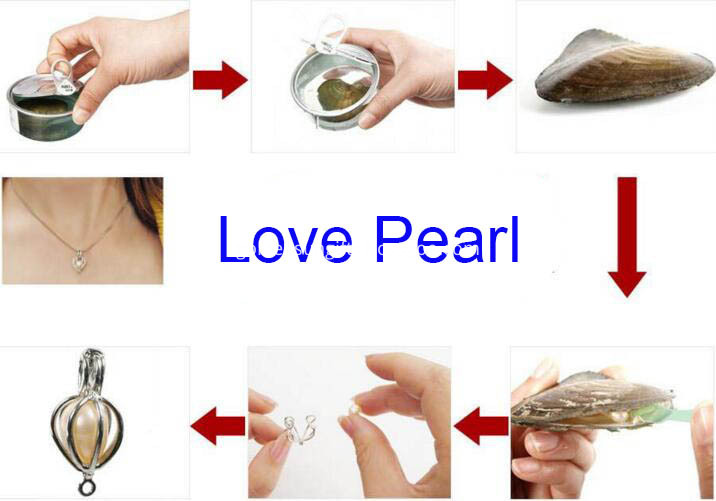 Love Pearl Application Step Love Pearl Application Step