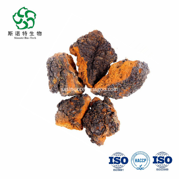 Inonotus Obliquus Straight Powder Inonotus Obliquus Straight Powder