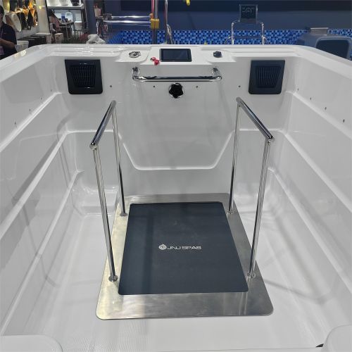 The underwater treadmill