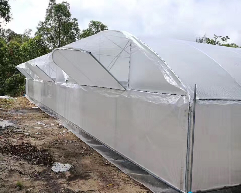 Film tissé transparent pour serre Transparent Woven Film For Greenhouse