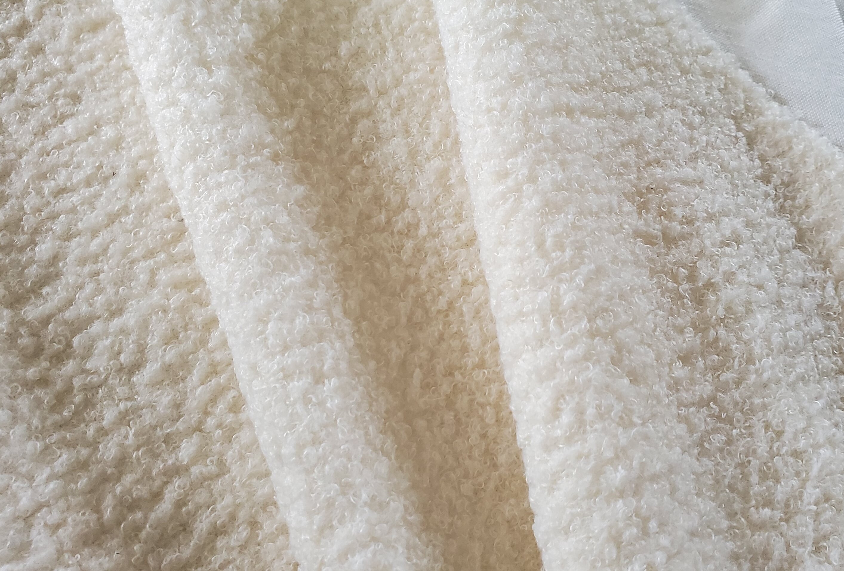 Teddy velvet b Teddy velvet b
