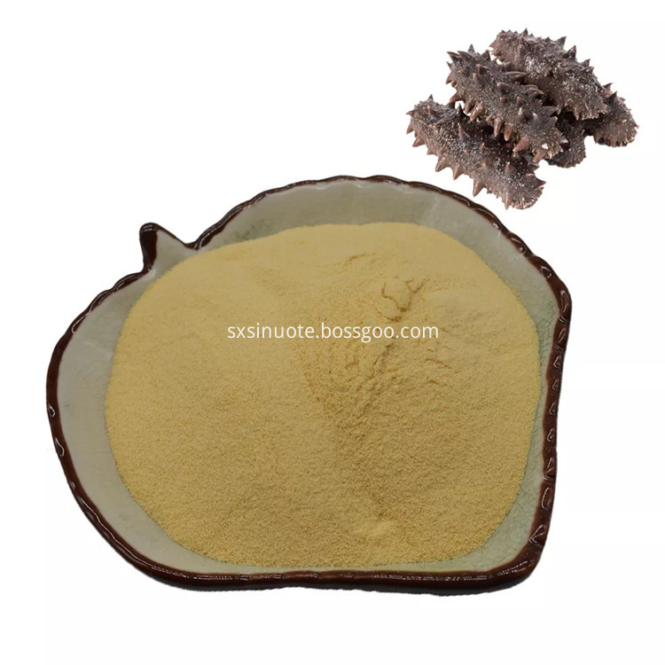 Sea Cucumber Peptide Sea Cucumber Peptide