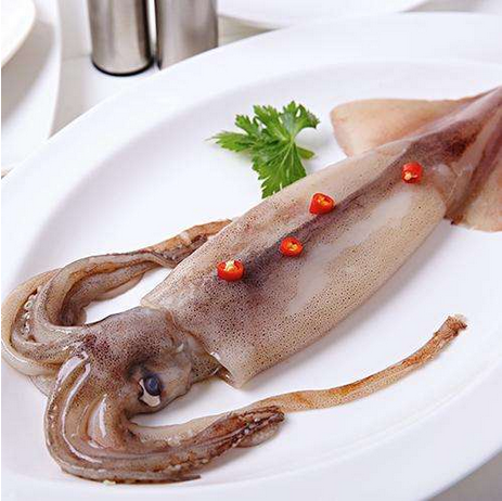 Sea Frozen Argentine Squid