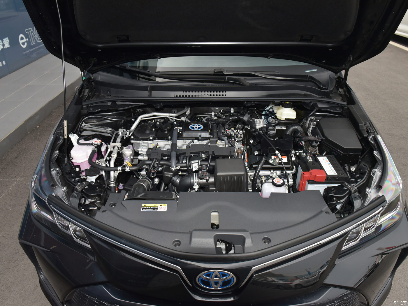 Toyota Corolla Toyota Corolla
