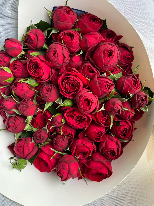 Red Lace Spray Rose Red Lace Spray Rose