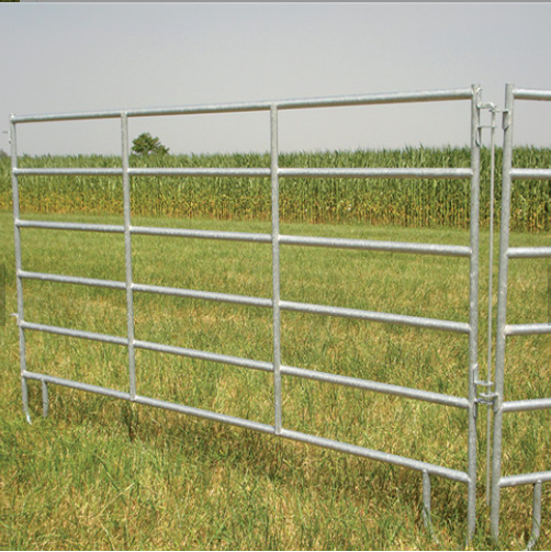 Scherma a cavallo 01 Horse Fencing 01