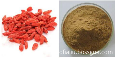 Goji Polysaccharides