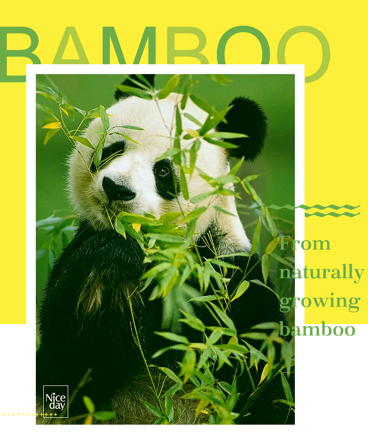 Bamboo pad Bamboo pad