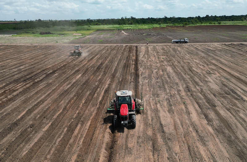 TAGRM manioc planter TAGRM manioc planter
