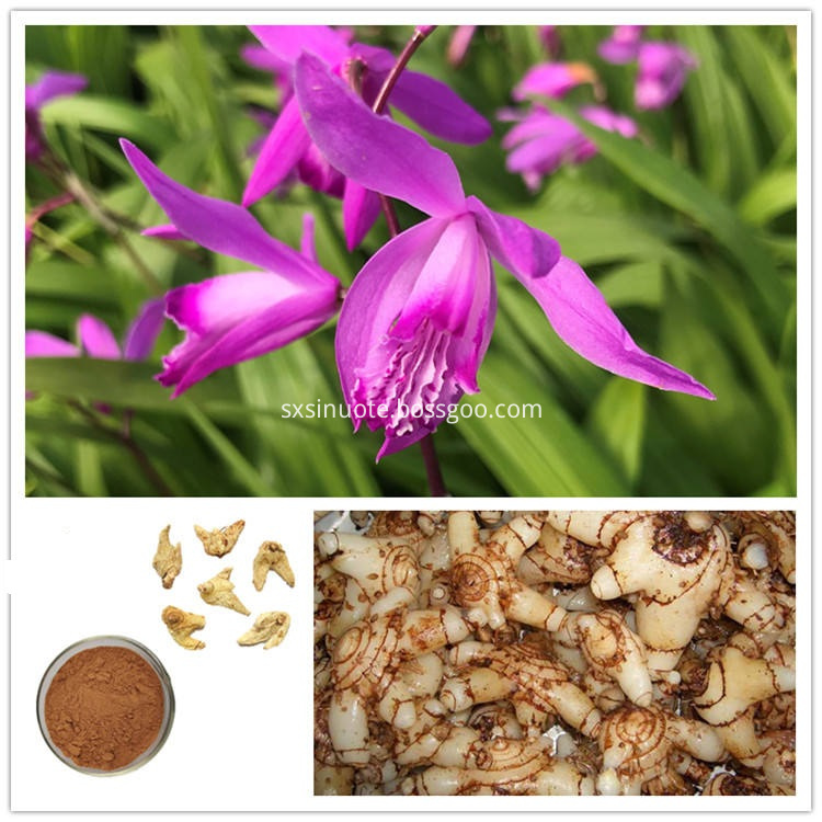 Bletilla Striata Extract Bletilla Striata Extract
