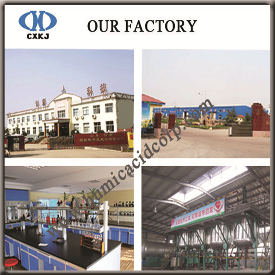 Nitro humic acid factory 