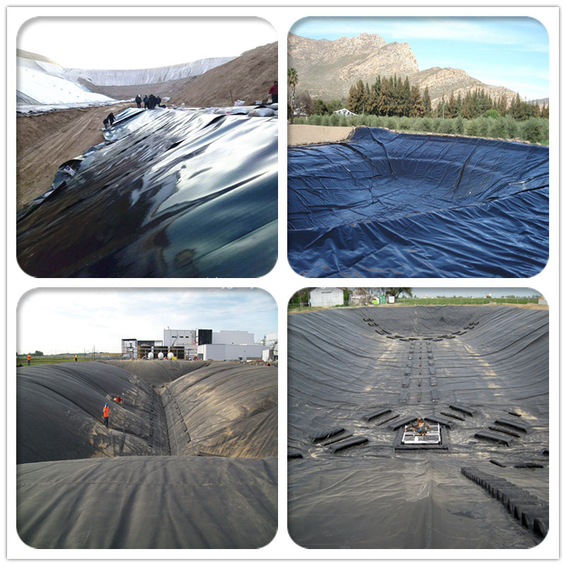 HDPE Geomembrane for Fish Pond Farming HDPE Geomembrane for Fish Pond Farming