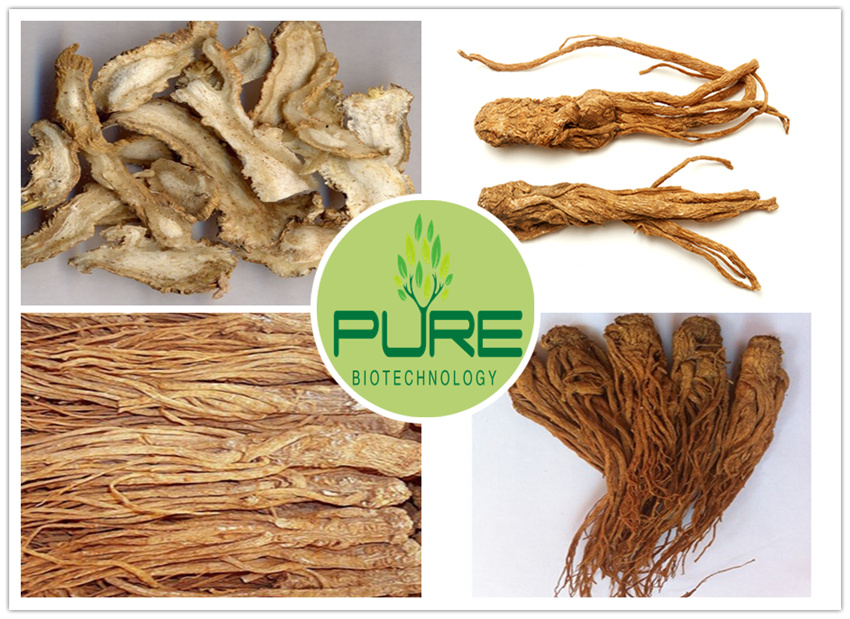 Radix Kualiti Tinggi Angelica Sinensis Keseluruhan Roots (4) High Quality Radix Angelica Sinensis Whole Roots (4)