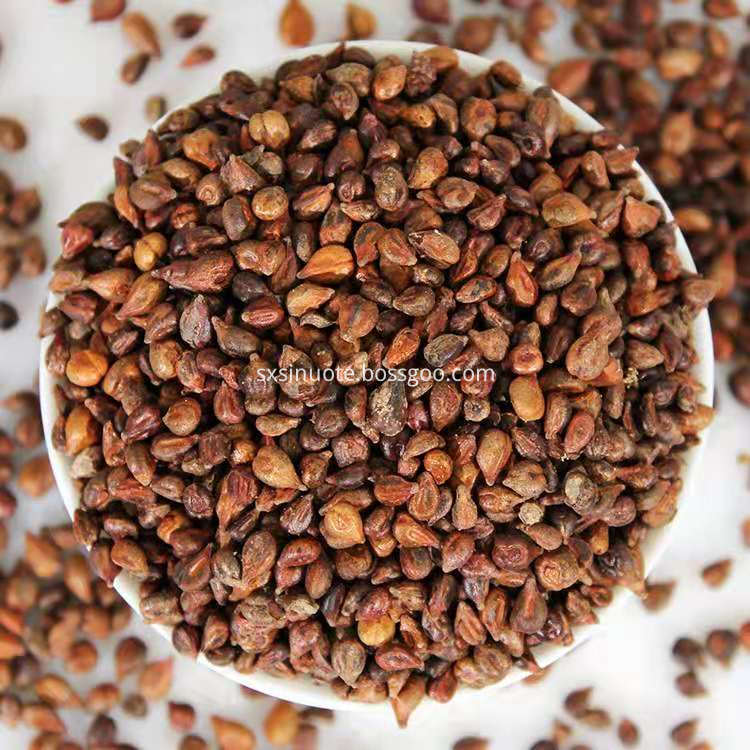 Grape Seed Extract Grape Seed Extract