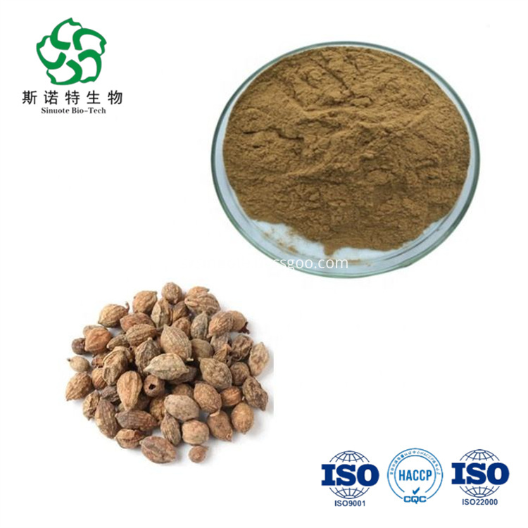 Sharpleaf Galangal Fruit Extract Sharpleaf Galangal Fruit Extract