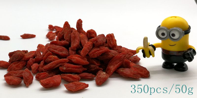  Goji Fruit