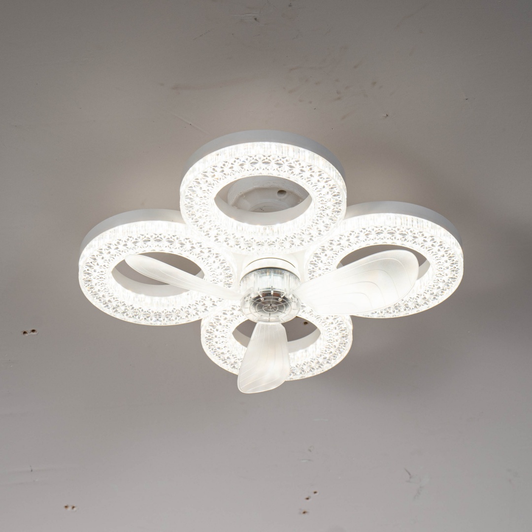 Modern Enclosed Fan Modern Enclosed Fan