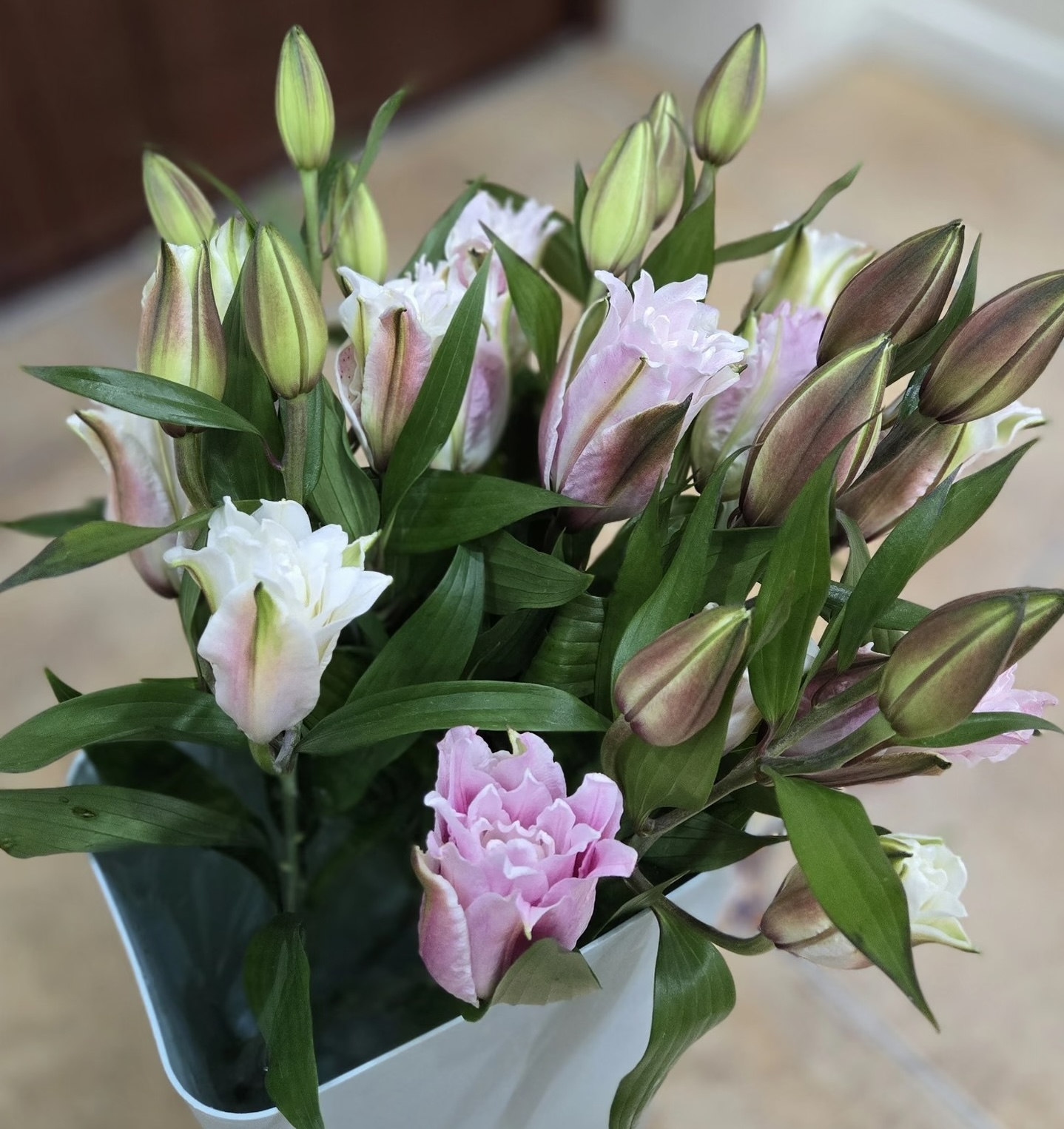Isabella Double Spray Lily Isabella Double Spray Lily
