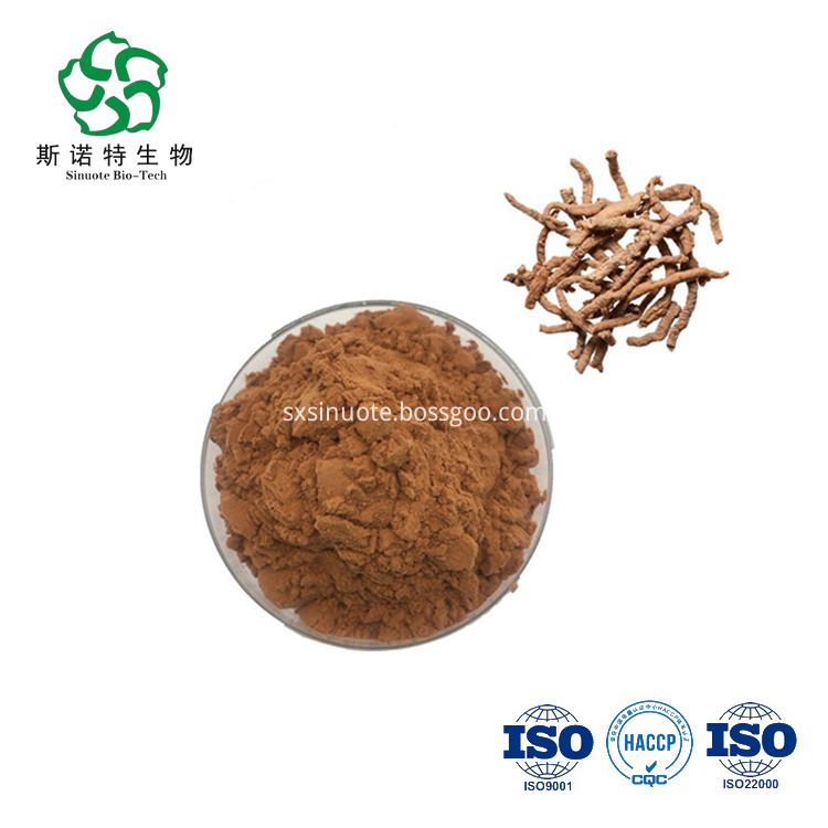 Polygala Tenuifolia Extract Polygala Tenuifolia Extract