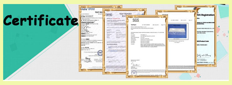 Certificato Certificate