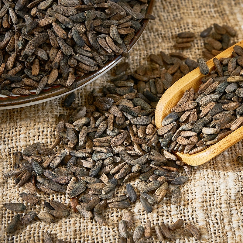 Burdock Root Seeds3 Burdock Root Seeds3