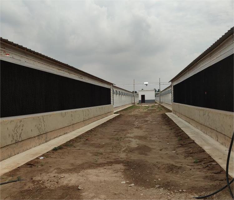Poultry cooling Pads Poultry cooling Pads