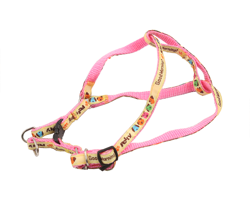 Chaîne de chien en nylon à la mode Fashionable Nylon Dog Chain
