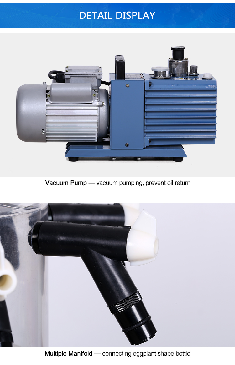 Factory Price Laboratory Mini Vacuum Freeze Dryer