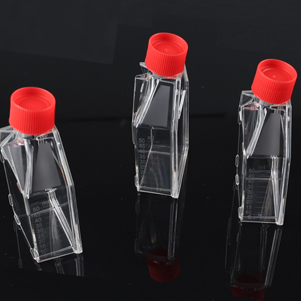 Non-Treated T25 Cell Culture Flasks