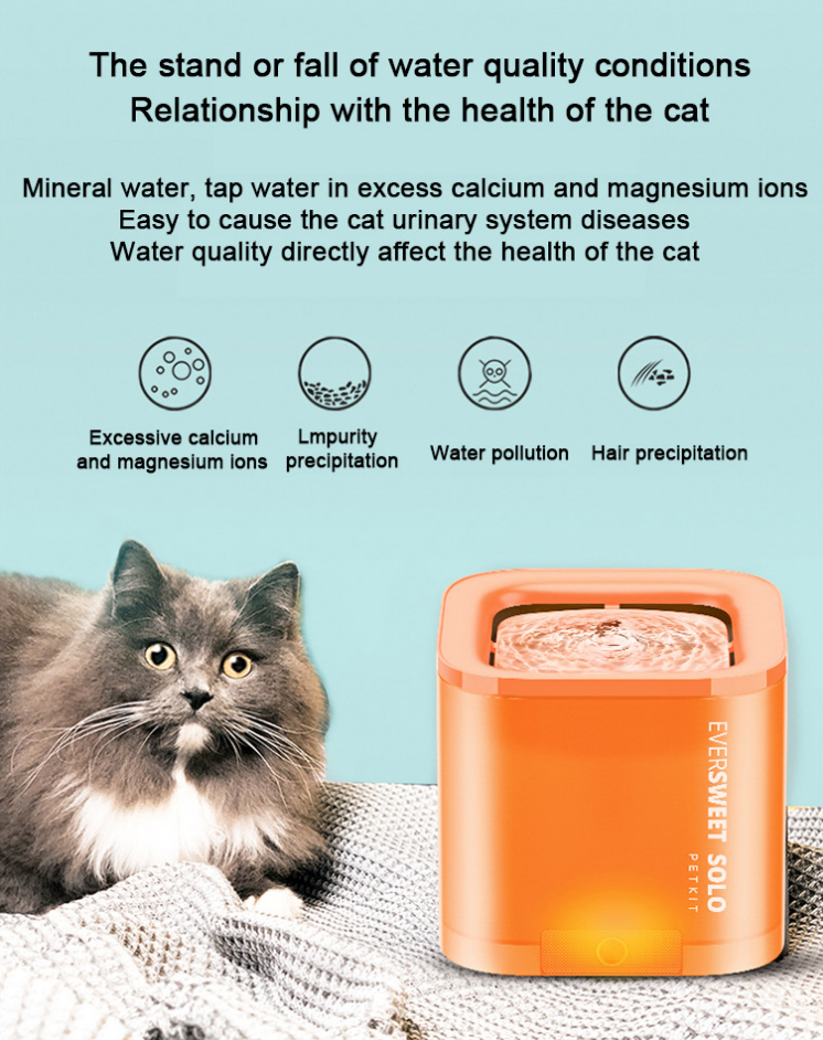 Petkit Pet Smart Water Dispenser Petkit Pet Smart Water Dispenser