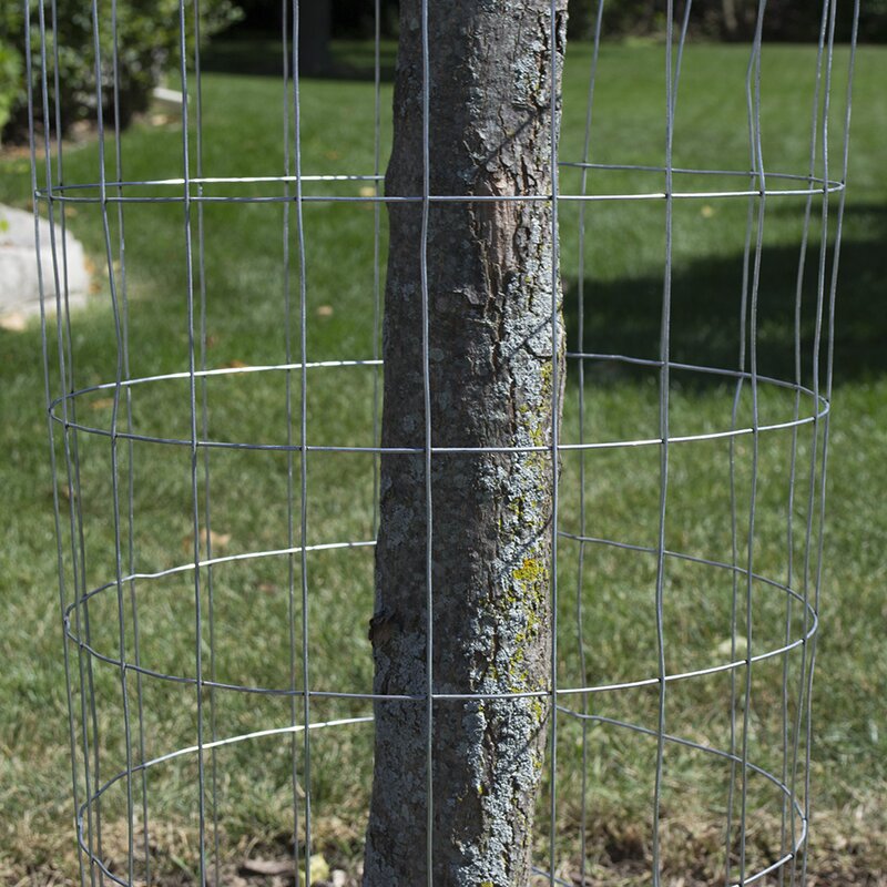 Galvanized Galvanized