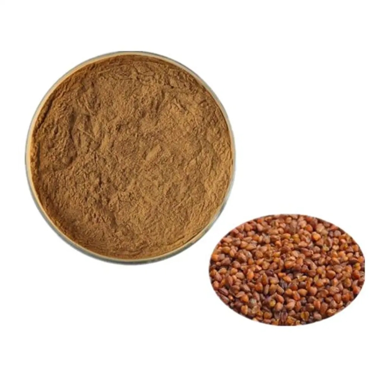 5% buckwheat tartary Seed extract powder 5% buckwheat tartary Seed extract powder