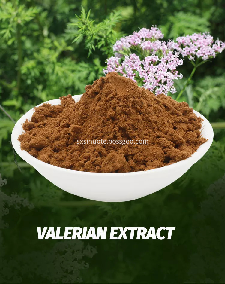 Valerian Root Extract Valerian Root Extract