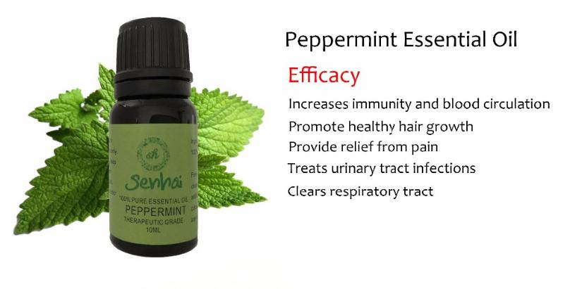 peppermint essential oil 