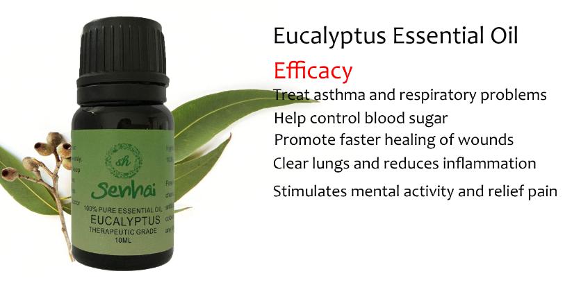 eucalyptus essential oil 