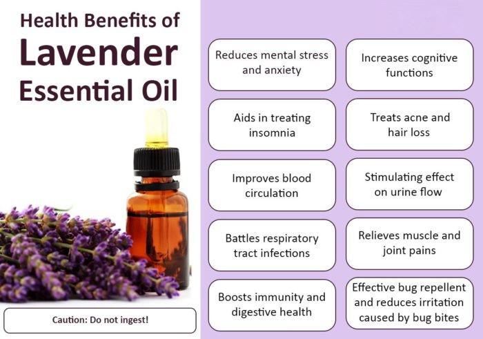 lavender oil