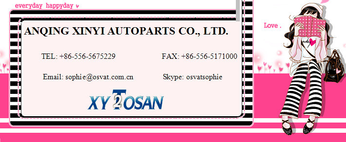 FIAT Cylinder Head for FIAT OEM 908 584 Engine Head