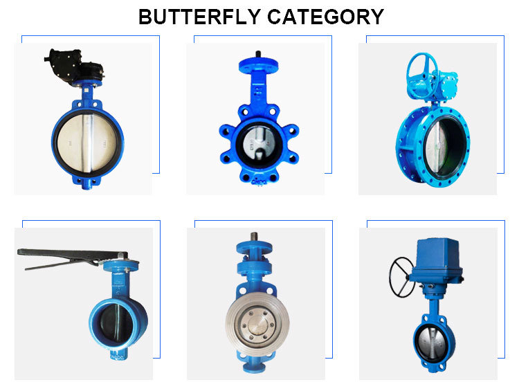 6 Inch Motorized Stainless Steel Butterfly Valve