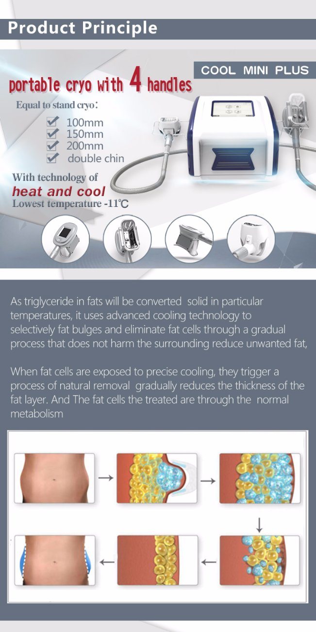 Kapha Cryolipolysis Machine Coolsculpting Equipment Slim