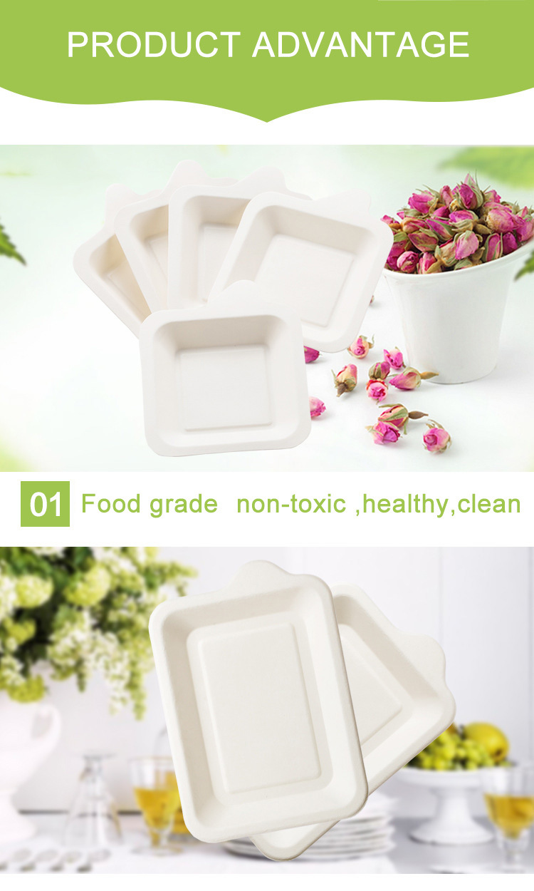 High Quality Disposable Biodegrable Sugarcane Lunch Take Away Box