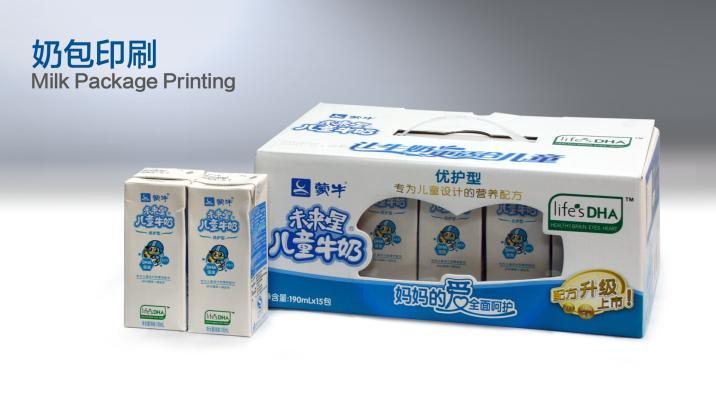 Roll to Roll Flexography Printer