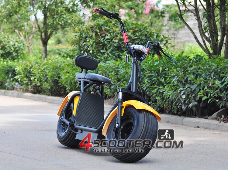 New Products New Design 60V 1000W Popular Scrooser with 2 Wheel Electric Scooter Halley Scooter Long Range for Adult Hot