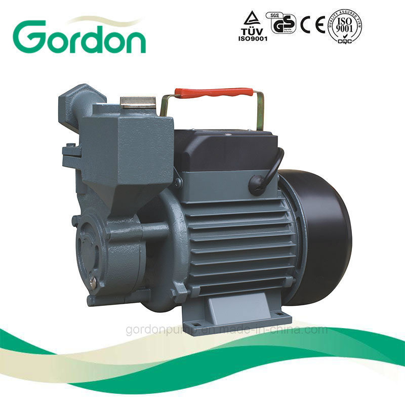 Wzb Series Single Phase Self Priming Vortex Household Water Pump