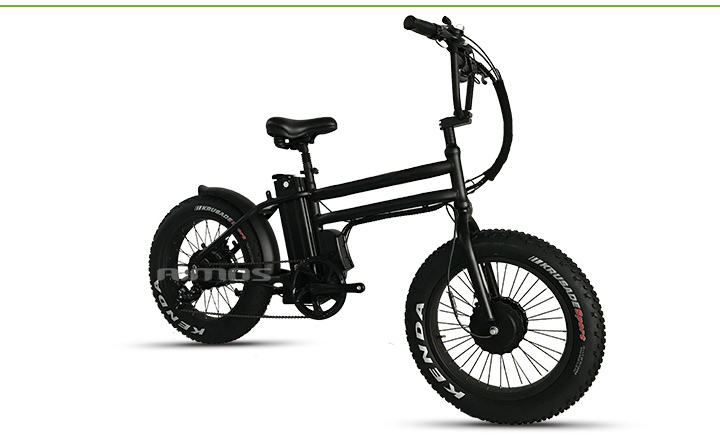 Double Motor 500W Electric Bike Fat Tire