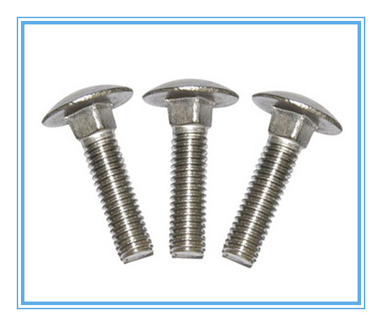 DIN603 Stainless Steel Mushroom Head Square Neck Bolts