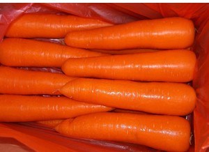 High Quality New Crop Fresh Carrot (150-200g)